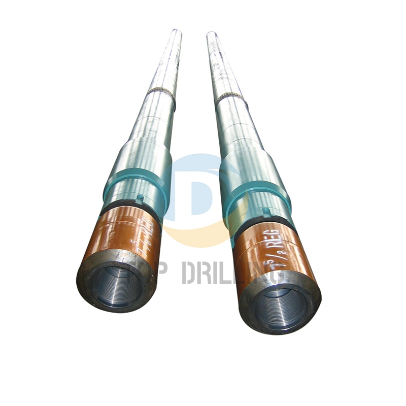 Downhole Motor