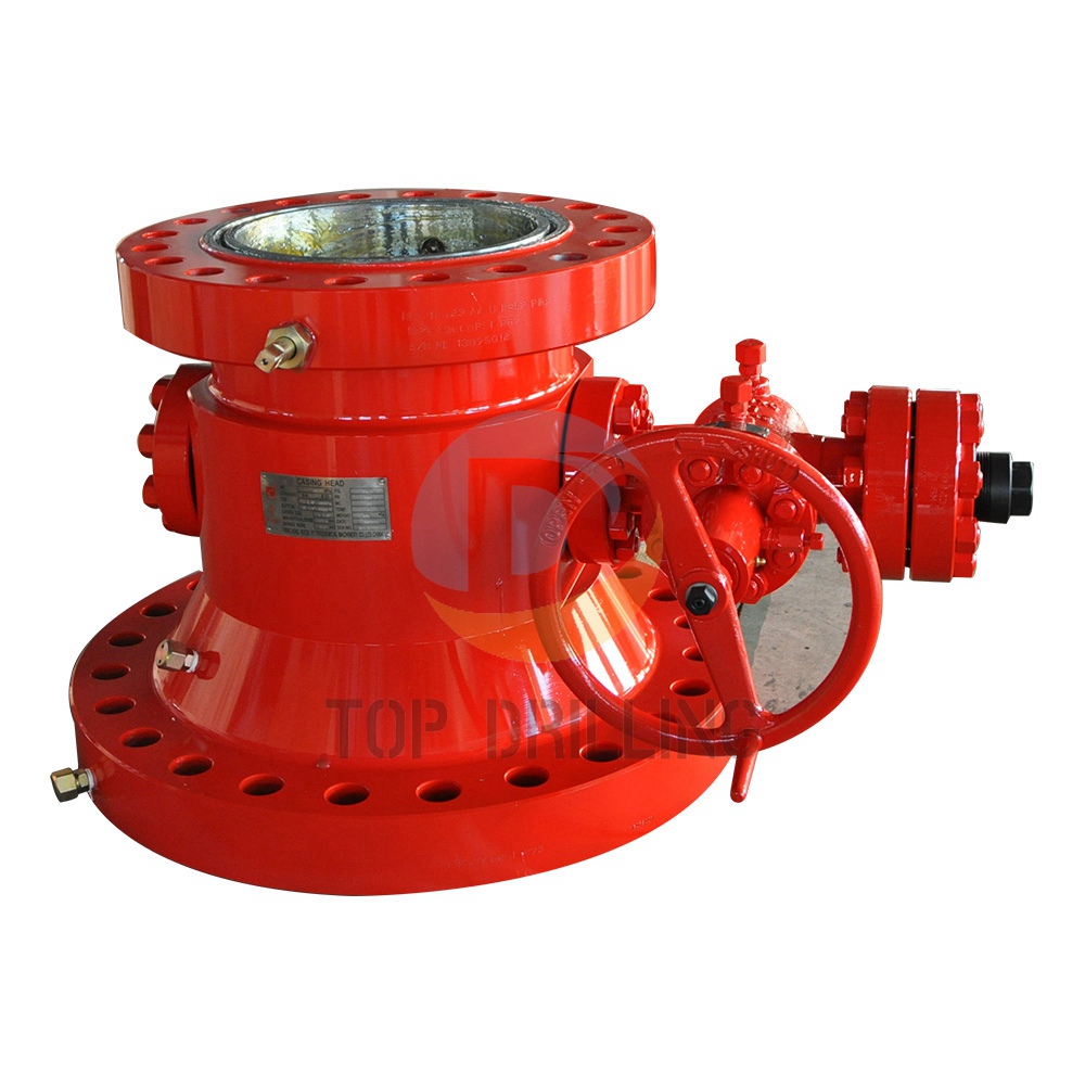 Casing head